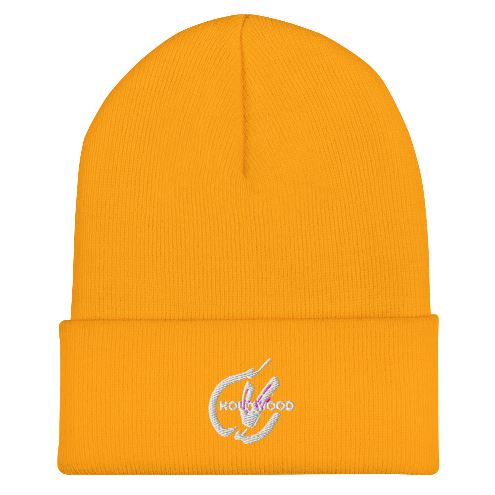 HV Cuffed Beanie